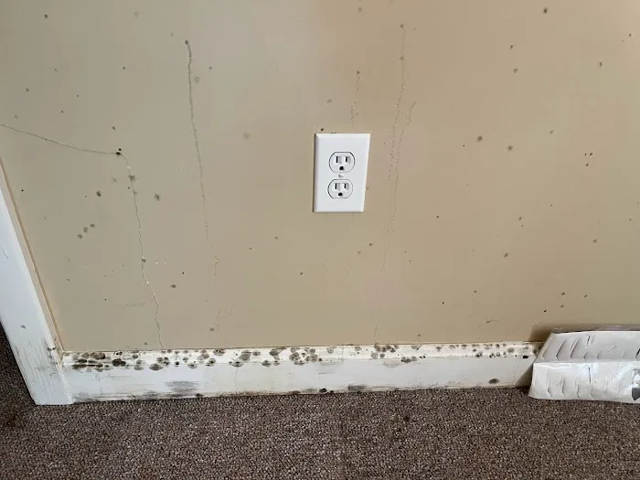 Kefficient Picture 2