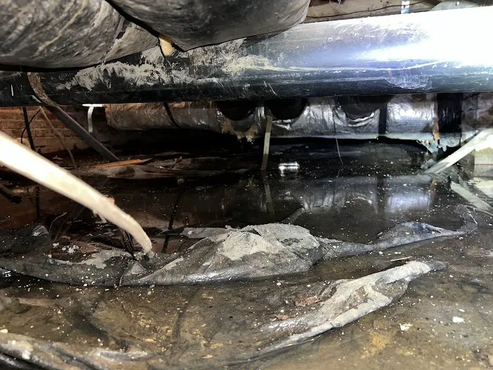 Kefficient Picture 6