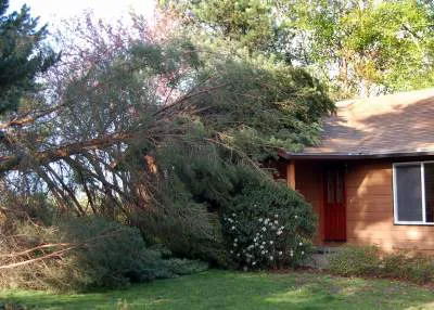 Paul Davis Restoration of Greater Richmond Picture 5