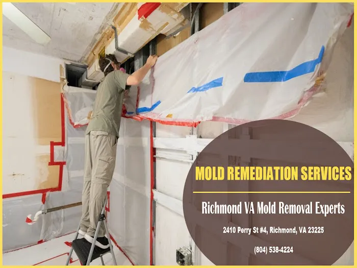 Richmond VA Mold Removal Experts Picture 4
