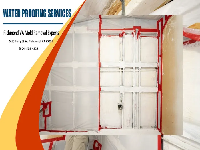 Richmond VA Mold Removal Experts Picture 8