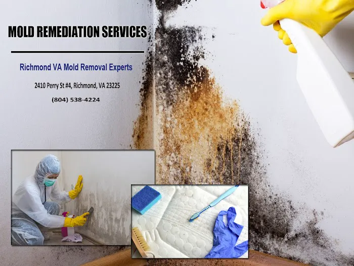 Richmond VA Mold Removal Experts Picture 10