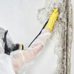 Richmond VA Mold Removal Experts
