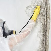 Richmond VA Mold Removal Experts ico