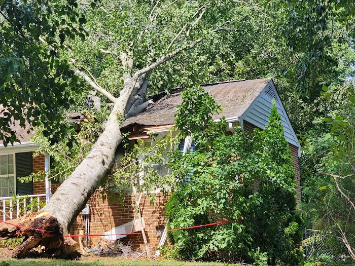 SERMAT CONSTRUCTION SERVICES Picture 9