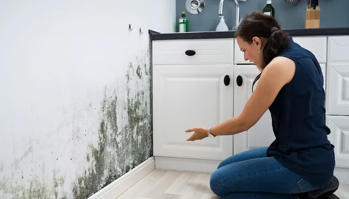 Evergreen State Mold Inspection Picture 10