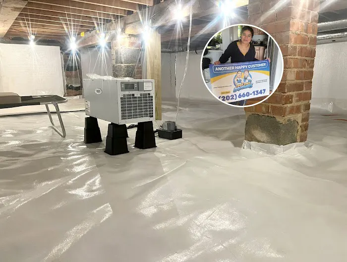 Crawl Space Brothers Picture 6