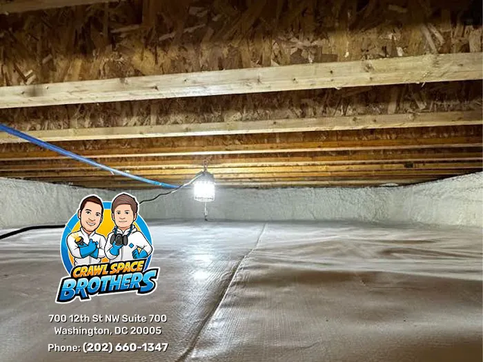 Crawl Space Brothers Picture 3