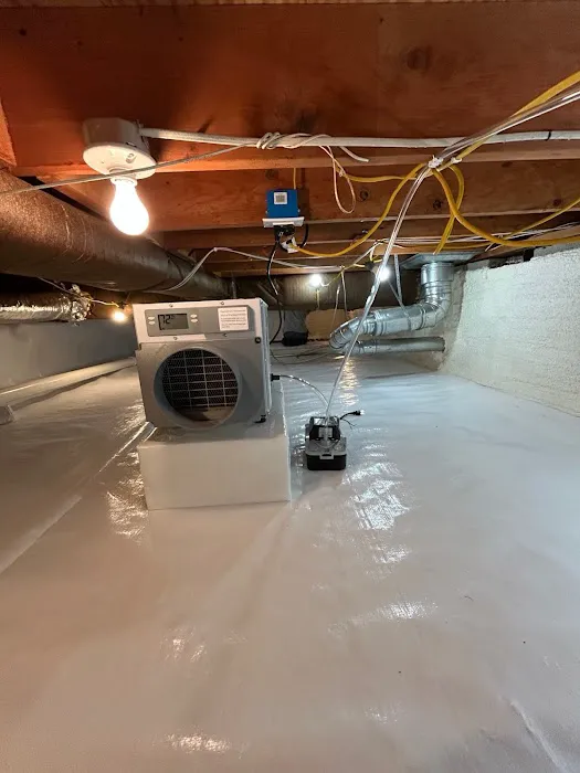 Crawl Space Brothers Picture 2