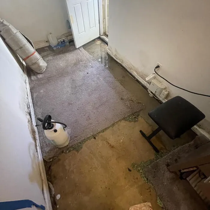 Top To Bottom, Inc Picture 4