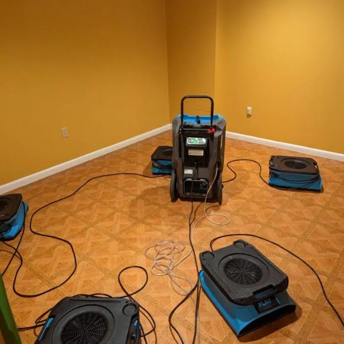 Top To Bottom, Inc Picture 7