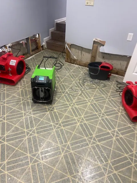 Mold Guy LLC Picture 1