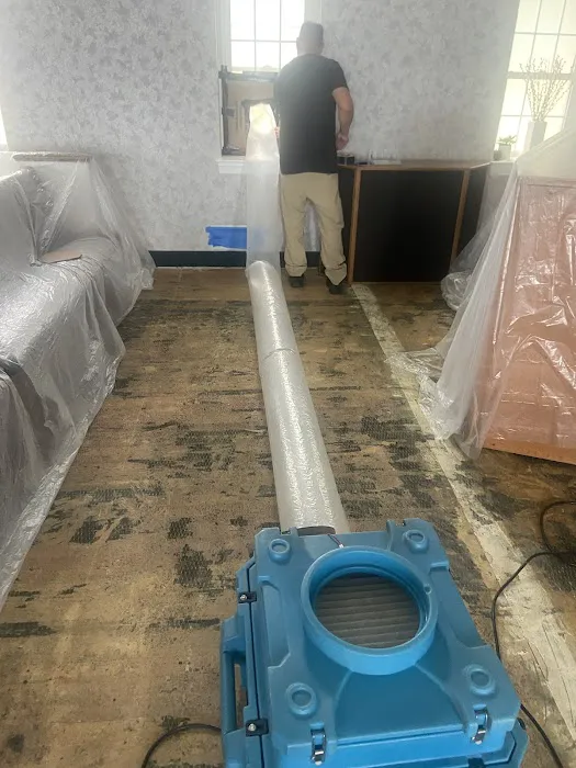 Mold Guy LLC Picture 2