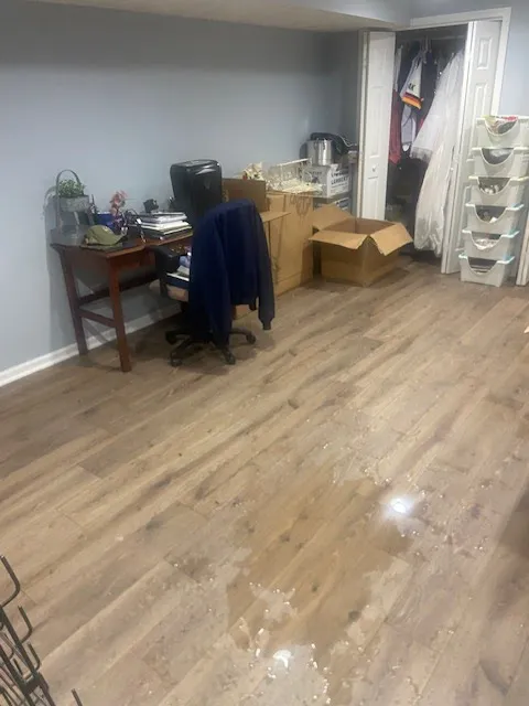 Mold Guy LLC Picture 3