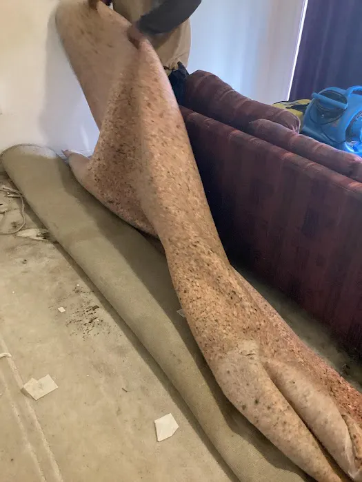 My Castle Restoration, LLC Picture 9