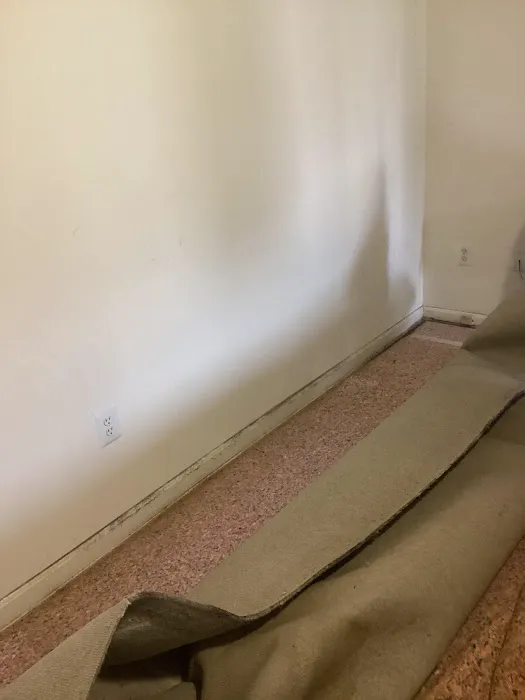 My Castle Restoration, LLC Picture 8