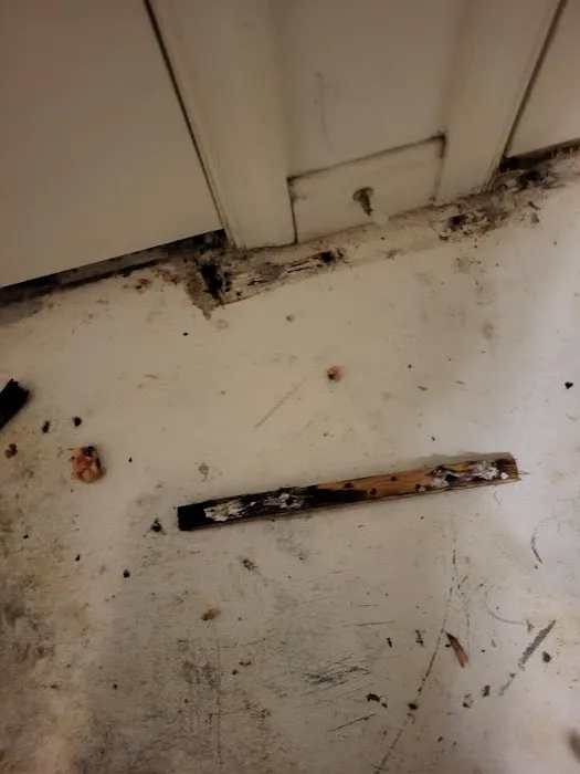 My Castle Restoration, LLC Picture 3