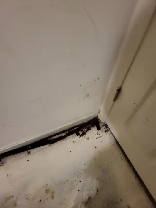 My Castle Restoration, LLC Picture 5