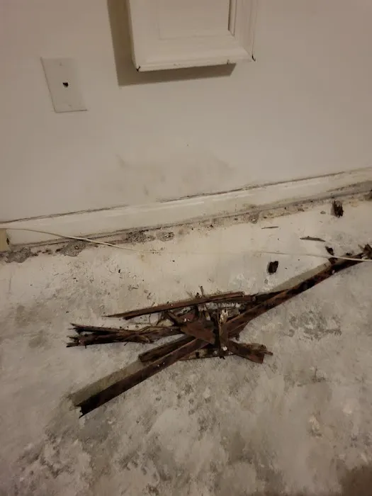 My Castle Restoration, LLC Picture 7