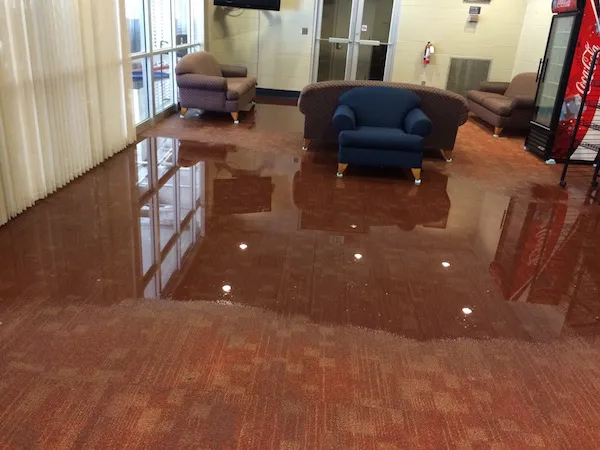 Martin Restorations Picture 1