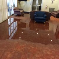 Martin Restorations ico