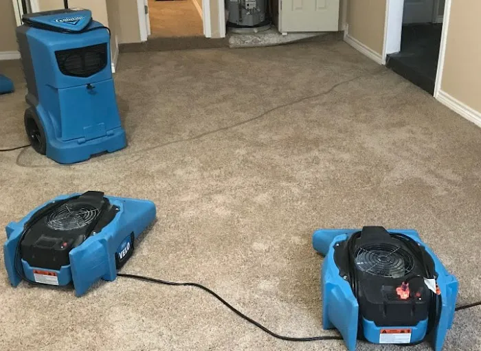 Martin Restorations Picture 7