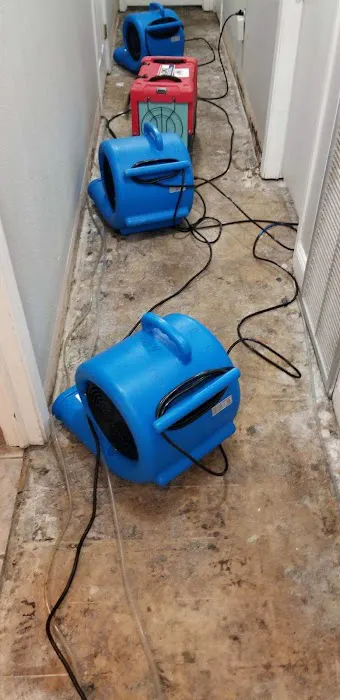 Martin Restorations Picture 9