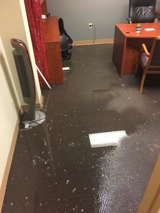 Martin Restorations Picture 4