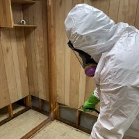 PuroClean of Laurel ico