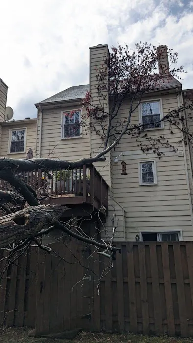 Apollo Construction Corp 🌟 ⭐️⭐️🌟🌟 Picture 2