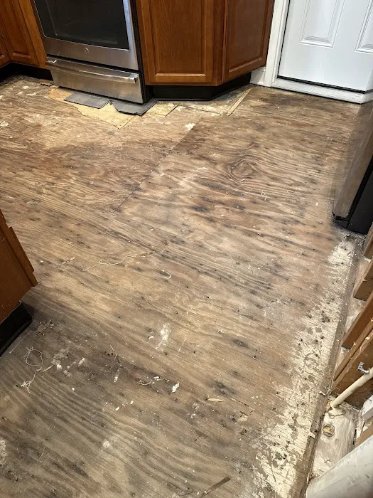 Apollo Construction Corp 🌟 ⭐️⭐️🌟🌟 Picture 4