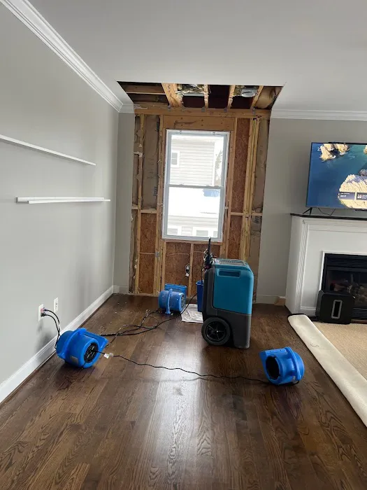 Vinis Renovation & Restoration Picture 5