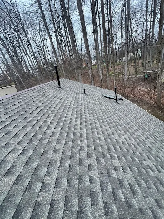 Vinis Renovation & Restoration Picture 7