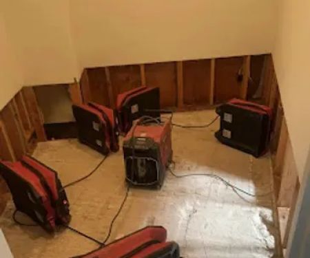 Rapid Disaster Restoration