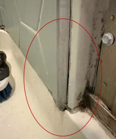 Royal Plus Disaster Cleanup Picture 2