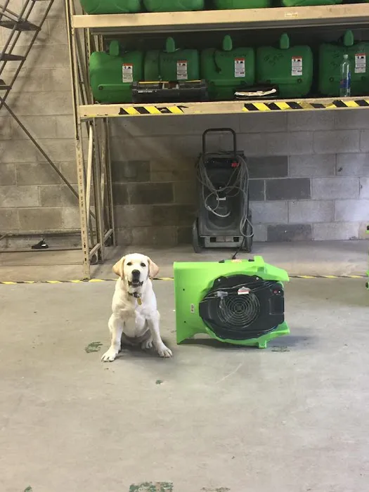 SERVPRO of Newark Picture 3