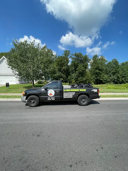 First State Picture 8