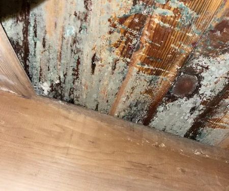 Restoration 1 of Chester County