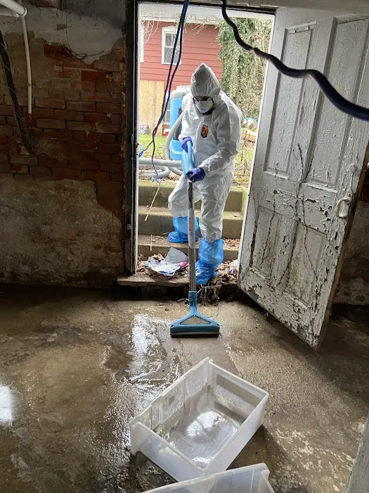 Restoration 1 of Chester County Picture 7