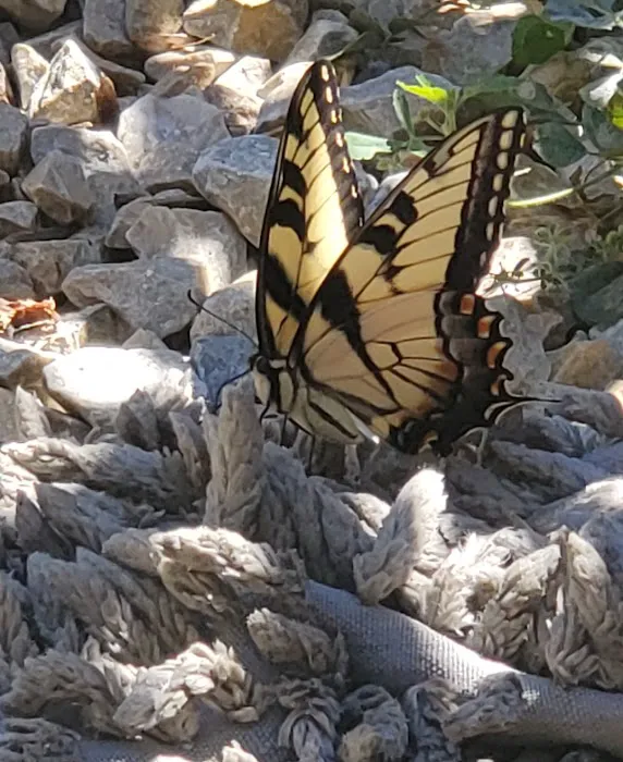 R&R Service Picture 1