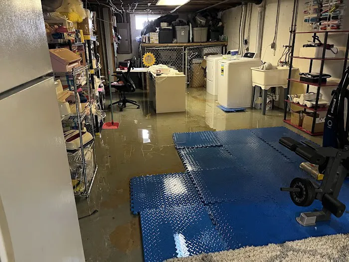 All Dry Services Picture 9