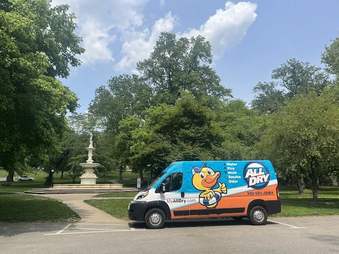 All Dry Services Picture 4