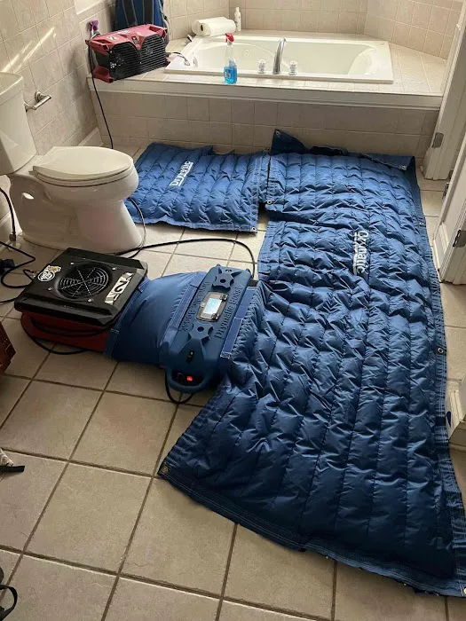 All Dry Services Picture 6