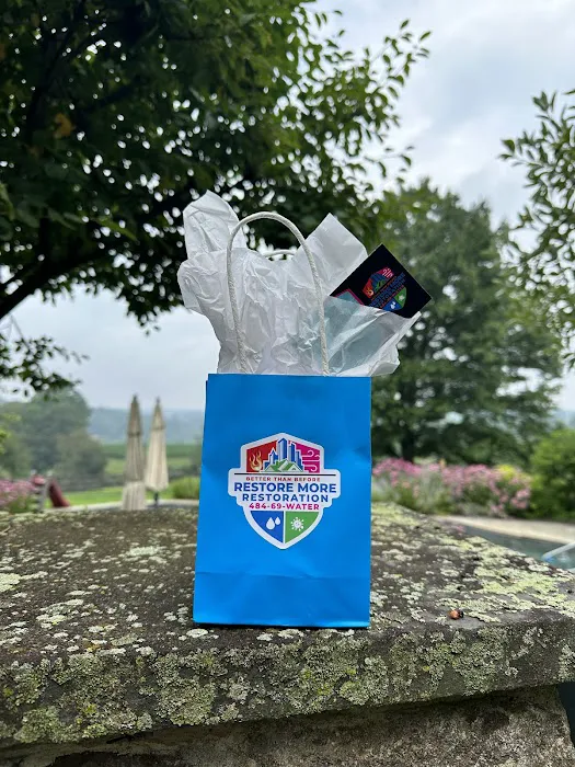 Restore More Restoration Picture 6