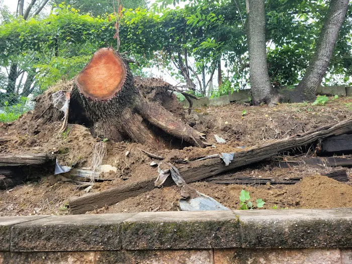 Phoenix Response Services Picture 6