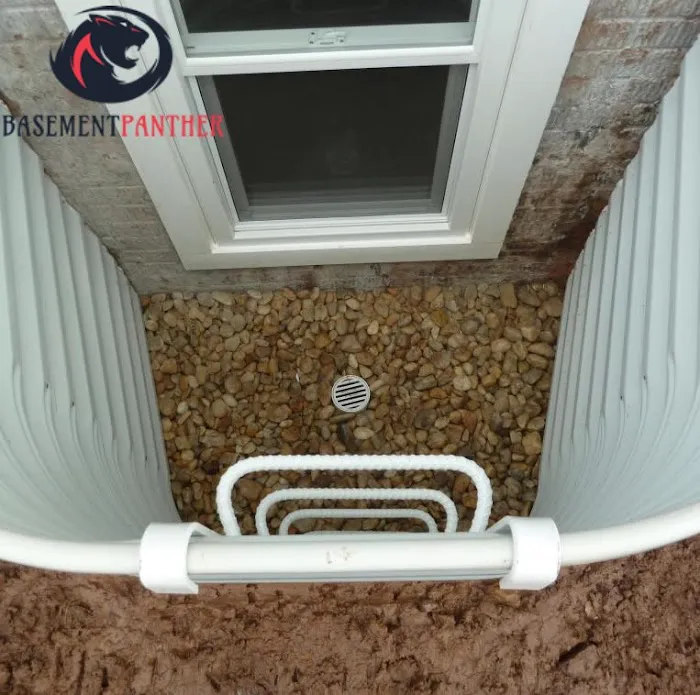 Basement Panther Picture 3