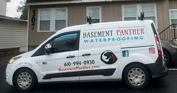 Basement Panther Picture 4