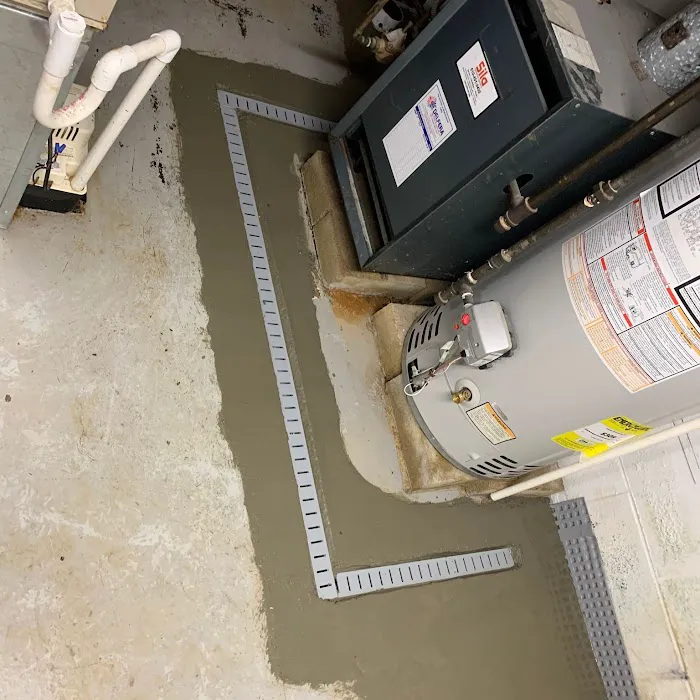 Basement Panther Picture 7