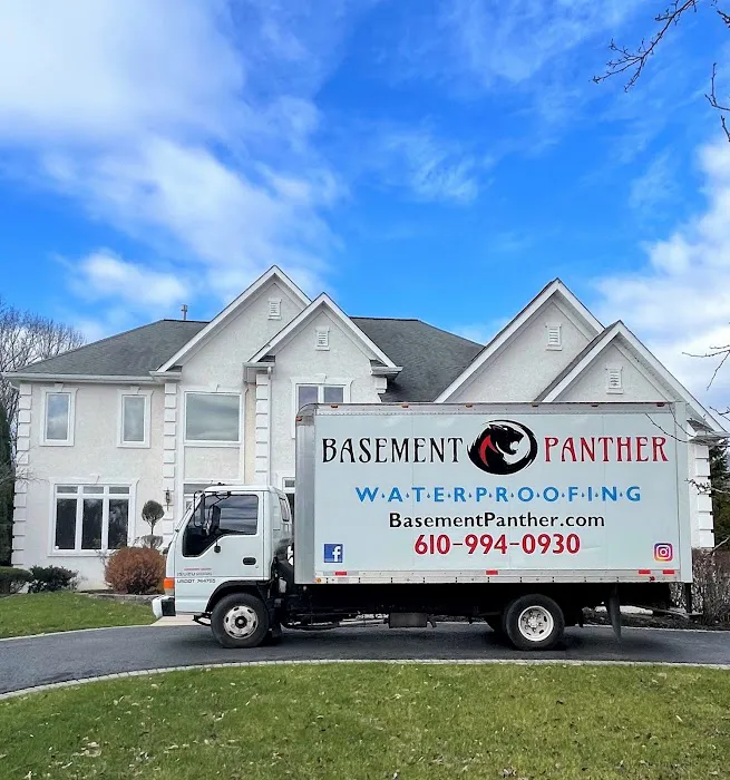 Basement Panther Picture 5