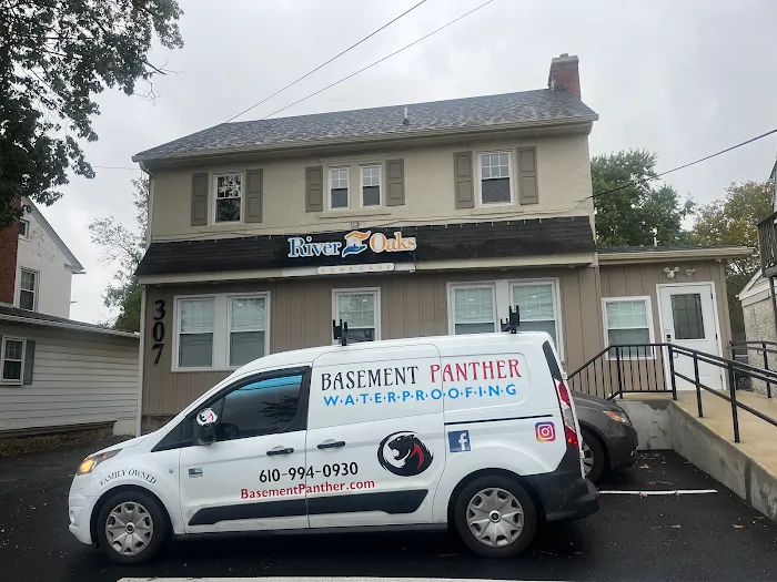 Basement Panther Picture 6